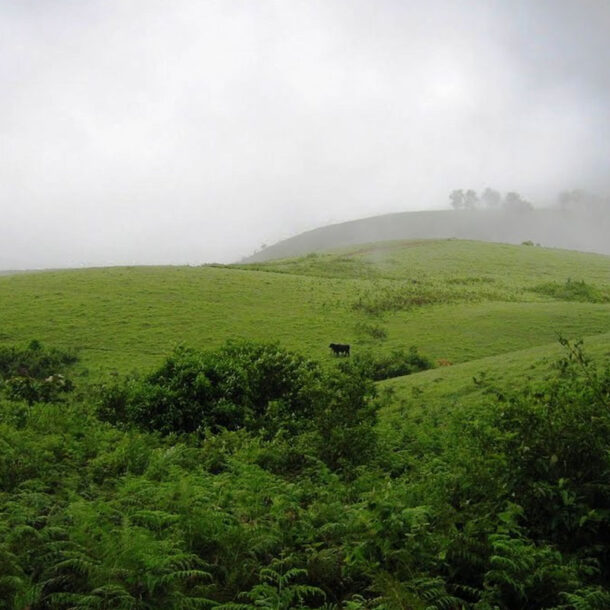 Vagamon vs Munnar
