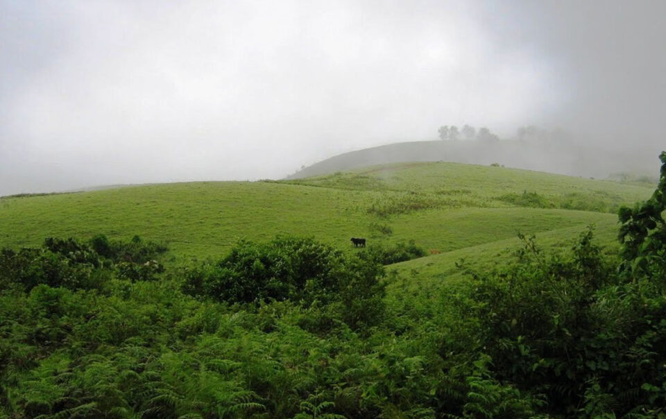 Vagamon vs Munnar
