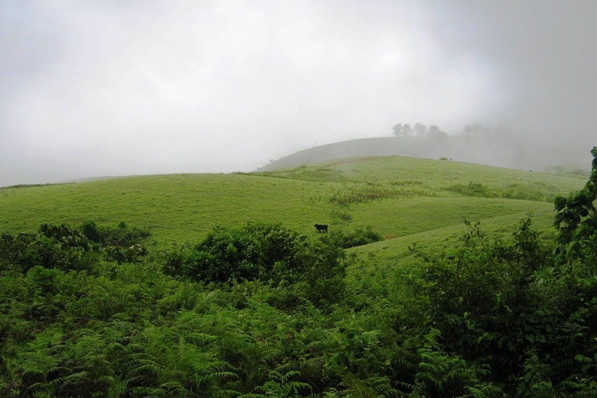 barren-hills-vagamon